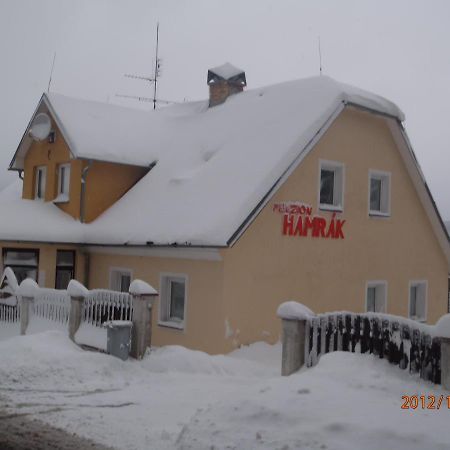 Penzion Hamrak Ceske Hamry 外观 照片