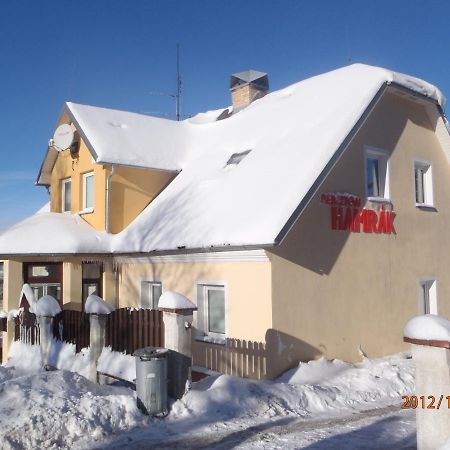 Penzion Hamrak Ceske Hamry 外观 照片