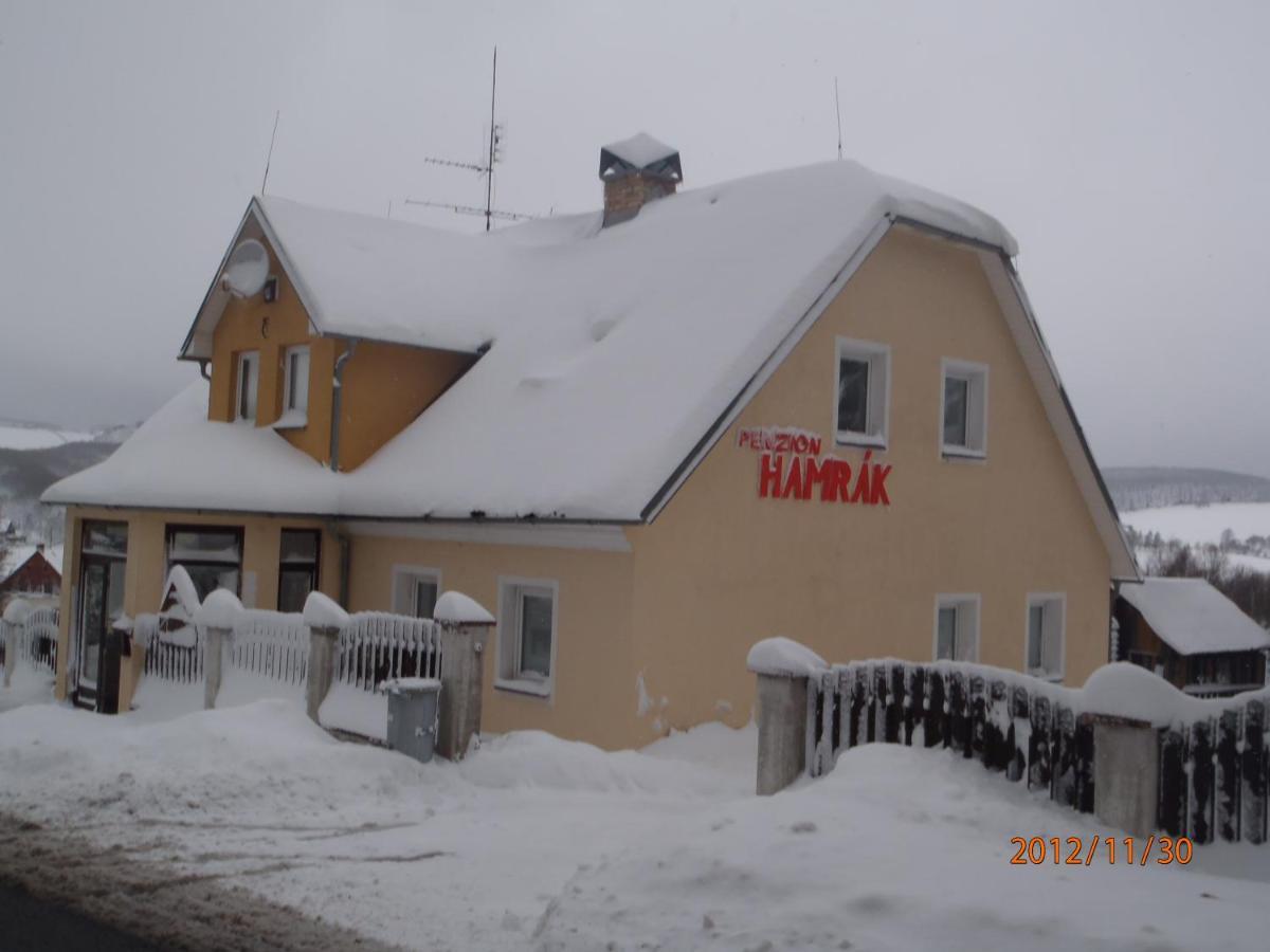 Penzion Hamrak Ceske Hamry 外观 照片