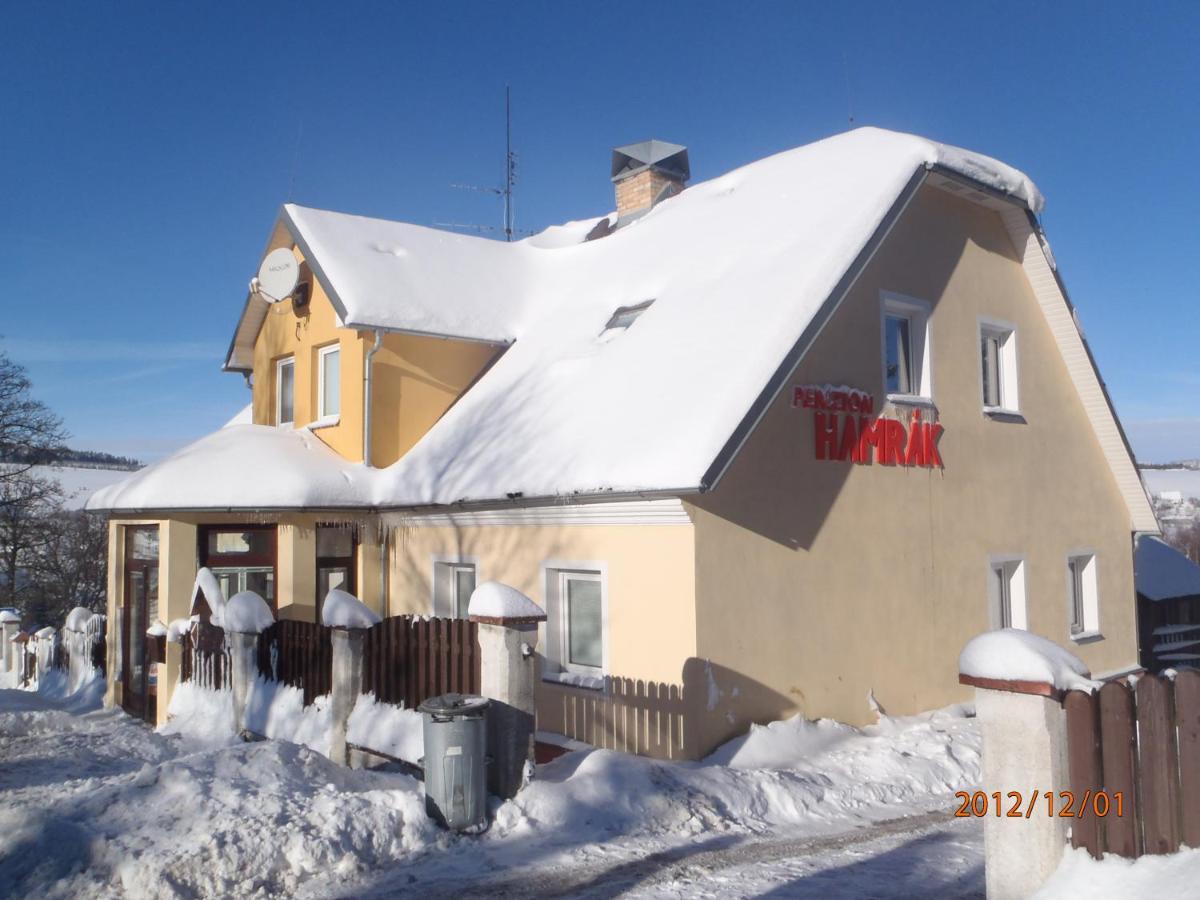 Penzion Hamrak Ceske Hamry 外观 照片